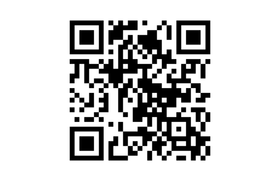 qr code ex remigen